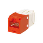 Panduit - Mini-Com TG Modulaire connector Cj Utp 6 Tx Rd