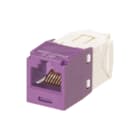 Panduit - Mini-Com TG Modulaire connector Cj Utp 6 Violet