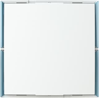 ABB Busch-Jaeger - Tastsensor bussysteem 2Cka006115A0505