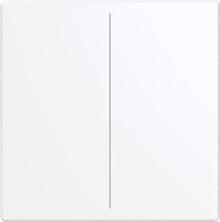 ABB Busch-Jaeger - Toets bussysteem 2Cka006199A0053