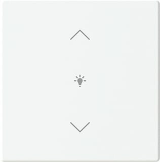 ABB Busch-Jaeger - Toets bussysteem  2cka006199a0195