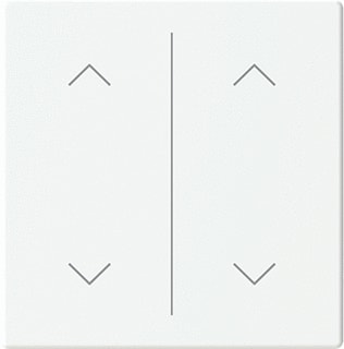ABB Busch-Jaeger - Toets bussysteem  2cka006199a0250