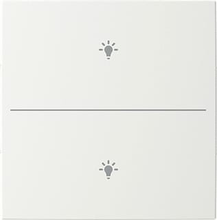 ABB Busch-Jaeger - Toets bussysteem 2Cka006199A0338