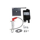 Remeha - Toeb./onderd. gasgestookte cv-ketel Ontstek.+Ontst.Elektrode