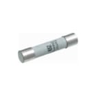 MERSEN - Miniature Cilindrische zekering glas 6x32   20a f  ds10