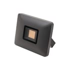 SG Lighting - Flom Midi Downlight/spot/schijnwerper Grafiet 3K Ndim