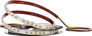 SG Lighting - StripLine Lichtslang/-band Stli 5.0M Rgwb 2M Ndriver