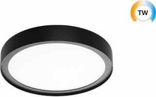 SG Lighting - Disc 290 Plafond-/wandarmatuur Zw Tw Leddim