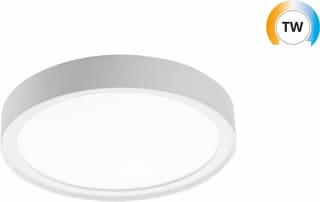 SG Lighting - Disc 290 Plafond-/wandarmatuur W Led Tw Leddim