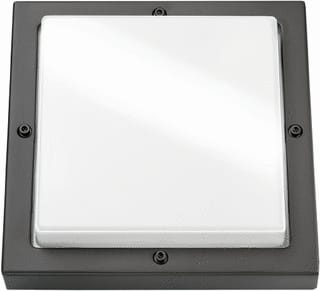 SG Lighting - Bassi Plafond-/wandarmatuur Grft / Opaal E27