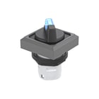 Schlegel - Keuzeschakelaar frontelement okwal_bl