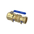 Raminex - TBE Terugstroombeveiliging Tbe-Ea 2''Bix2''Bi Dn50