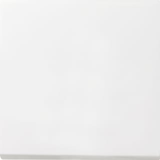 Gira - F100 Bed.element / centr.pl. schakelmat. Wiphak Wt Zwg