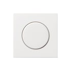 Gira - F100 Bed.element / centr.pl. schakelmat. Afdpl Dim Wt