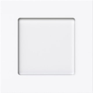 ABB Busch-Jaeger - Lichtsignaaleenheid lichtsign 2cka001753a0244