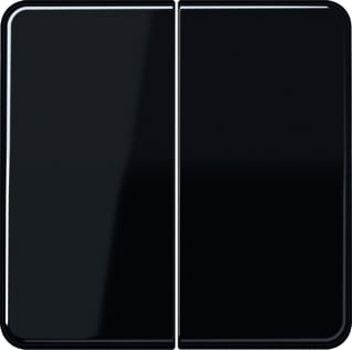 Jung - Intelligent bedieningselement Tastafd 2V Cd500 Zw
