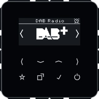 Jung - Radio Smartrad Dab+ Bt Ls990 Zw