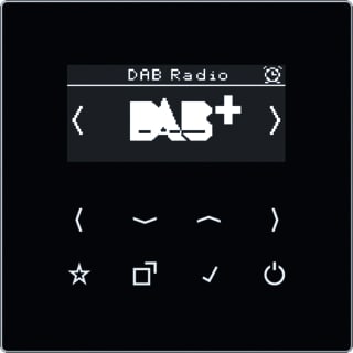 Jung - Radio Smartrad Dab+ Ls990 Zw