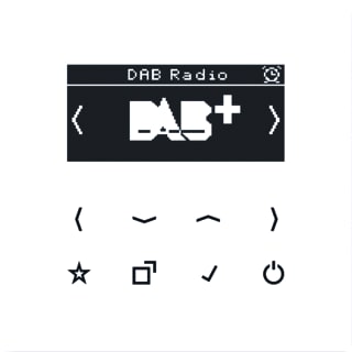 Jung - Radio Smartrad Dab+ Ls990 Aw