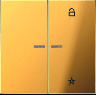 Jung - Intelligent bedieningselement enet tastafd ls990 gd