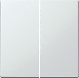 Jung - Intelligent bedieningselement Tastafd 2V Ls990 Lgr