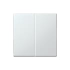 Jung - Intelligent bedieningselement Tastafd 2V Ls990 Lgr