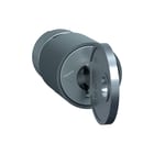Schneider Electric - Componenten v deur v kast/lessenaar prisma p cylsl+combsl 2433a