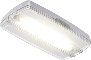 Kagenaar - Kompas EK Noodverlichtingsarmatuur noodverli ek-1/aft