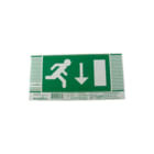 Eaton Blessing - Vistraled Pictogram noodverlichting pictogram blvistraled c