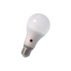 Calex - LED-lamp bail led gls e27 a65 240v 8w
