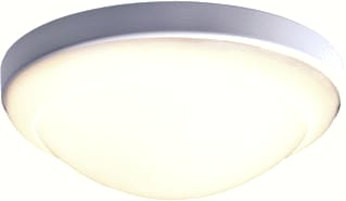 DEFA - Plafond-/wandarmatuur bail astro 260 led 830 12w wit