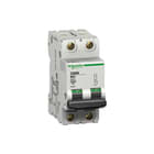 Schneider Electric Merlin Gerin - C60 N Installatieautomaat autom 6ka c60n 2a-c 1p+n