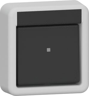 Gira - Opbouw Installatieschakelaar Wipsch. 2-P Spatwaterd Gr
