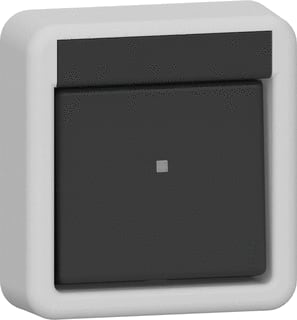 Gira - Opbouw Installatieschakelaar Wipsch Wis Sptwaterd Gr