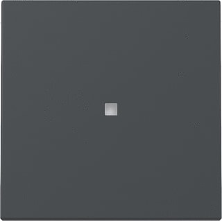 Gira - Bed.element / centr.pl. schakelmat. Wip Ctrl.V. Syst 55 Antr