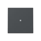 Gira - Bed.element / centr.pl. schakelmat. Wip Ctrl.V. Syst 55 Antr
