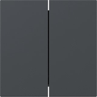 Gira - Bed.element / centr.pl. schakelmat. Wip 2-V R Syst 55 Antr