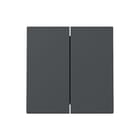 Gira - Bed.element / centr.pl. schakelmat. Wip 2-V Syst 55 Antr