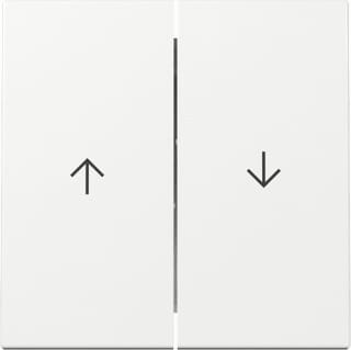 Gira - Bed.element / centr.pl. schakelmat. Wip 2-V Pijl Syst55 Z.Wit
