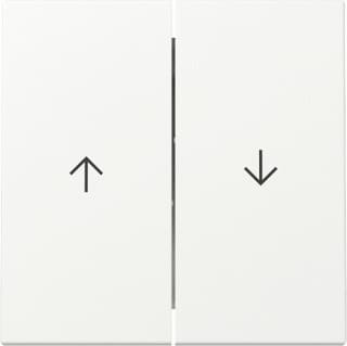 Gira - Bed.element / centr.pl. schakelmat. Wip 2V Pijl Syst55 Zwt M