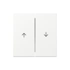 Gira - Bed.element / centr.pl. schakelmat. Wip 2V Pijl Syst55 Zwt M
