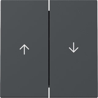 Gira - Bed.element / centr.pl. schakelmat. Wip 2-V Pijl Syst 55 Antr