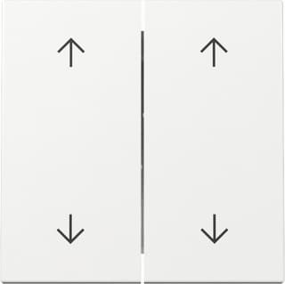 Gira - Bed.element / centr.pl. schakelmat. Wip 2V Pijlen Syst55 Zwt