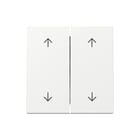 Gira - Bed.element / centr.pl. schakelmat. Wip 2V Pijlen Syst55 Zwt