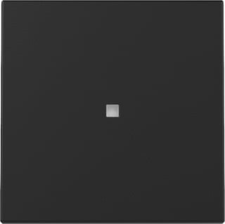 Gira - Bed.element / centr.pl. schakelmat. Wip Ctrl.V Syst55 Mzw