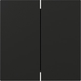 Gira - Bed.element / centr.pl. schakelmat. Wip 2-V R Syst 55 Zwart M