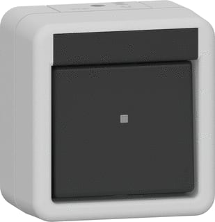 Gira - Installatieschakelaar Wipsch. 2-P Spatwaterd Gr