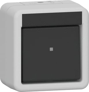 Gira - Installatieschakelaar Wipsch Wis Spatwaterd. Gr