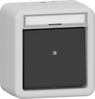 Gira - Installatieschakelaar Wipcontrolesch. Wis Tk