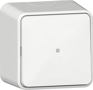 Gira - Drukcontact Opbouw 315613